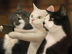 骚年 你那样玩自拍早过时几百年了