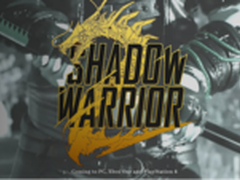 《影子武士2》发布 NVIDIA MRS提升30%