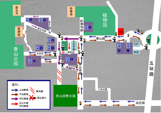 本周末开始将进入红叶观赏高峰期