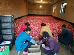 自购苹果作福利京东助力贫困县苹果销售