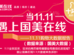 国美在线双11大数据报告重磅发布
