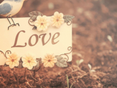 遇见愿意陪你晚睡的人  就嫁了吧