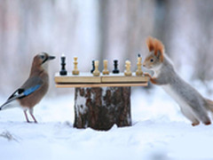 非替代品，MongoDB与MySQL对比分析