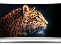 敢称“画质旗舰”的海信MU9600底气在哪