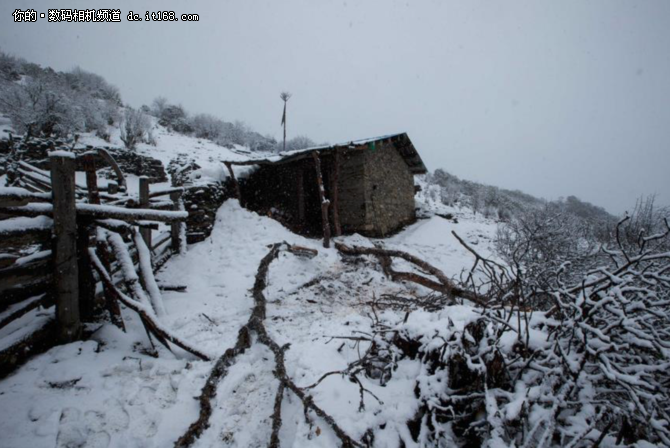 高海拔之恋 1DX Mark II掠影雪山之巅