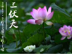 盛夏三伏天 品道家宴递送舌尖清凉