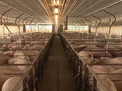 未来农业智慧 卓振助您触手可及