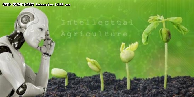 AI弄潮农业 到2025年价值将达26.285亿美元!