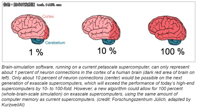 新发展，科学家研究出100%模拟人脑的算法