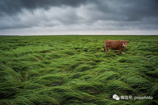 画意古镇 中国好风光全国摄影大展启动