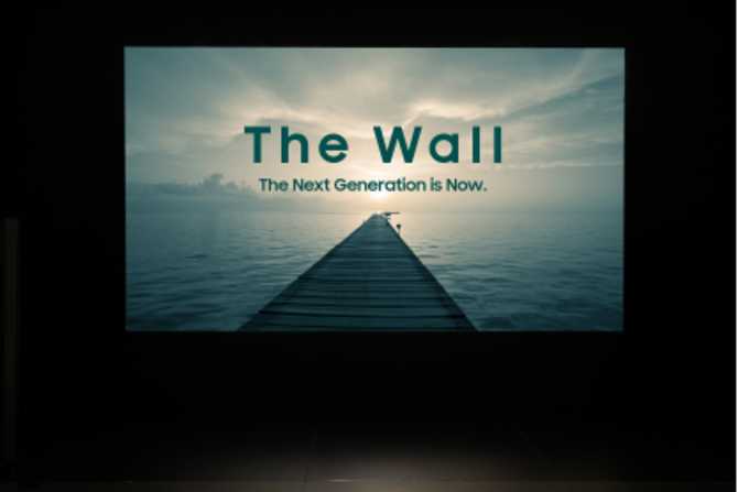 ƳThe Wall Professionalʾ