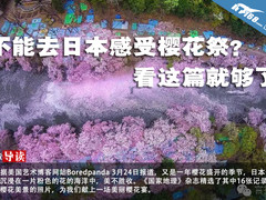 不能去日本感受樱花祭？看这篇就够了