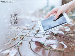樱花雨下的浪漫 vivo Xplay5S清新图赏