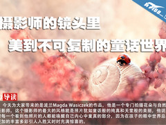 摄影师的镜头里美到不可复制的童话世界