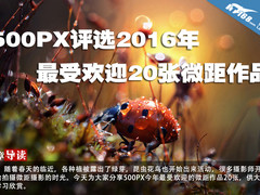 500PX评选2016年最受欢迎20张微距作品