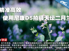 精准高效 使用尼康D5拍摄天坛二月兰