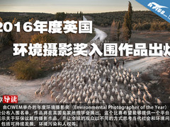 2016年度英国环境摄影奖入围作品出炉