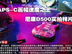 APS-C画幅速度之王 尼康D500实拍样片