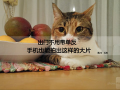 出门不用带单反 手机也能拍出这种大片