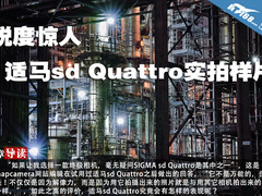 锐度惊人 适马sd Quattro实拍样片