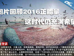 图片回顾2016正能量 这时代仍充满希望