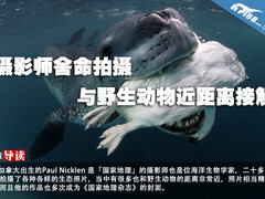 摄影师舍命拍摄 与野生动物近距离接触