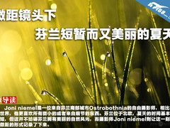 微距镜头下 芬兰短暂而又美丽的夏天