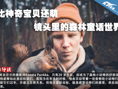 比神奇宝贝还萌 镜头里的森林童话世界