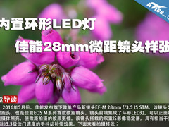 内置环形LED灯 佳能28mm微距镜头样张