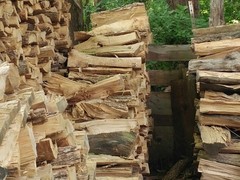 找了5分钟才找到猫 你得用多久啊？