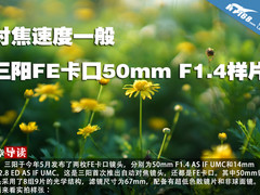 对焦速度一般 三阳FE卡口50mm F1.4样片