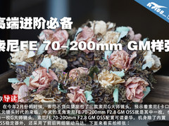高端进阶必备 索尼FE 70-200mm GM样张