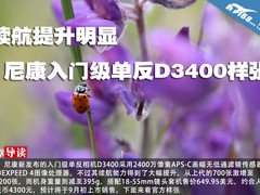 续航提升明显 尼康入门级单反D3400样张