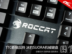 TTC茶轴加持 冰豹SUORA机械键盘图赏