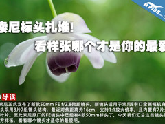 用样张说话 索尼4款标头哪个是你最爱?