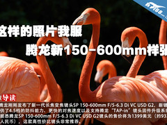 这样的照片我服 腾龙新150-600mm样张