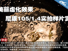 美丽虚化效果 尼康105/1.4实拍样片赏