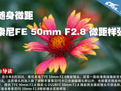 随身微距 索尼FE 50mm F2.8 微距样张