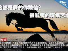 这都是假的你敢信？摄影师的剪纸艺术 