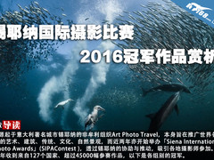 锡耶纳国际摄影比赛2016冠军作品赏析