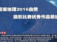国家地理2016自然摄影比赛优秀作品精选