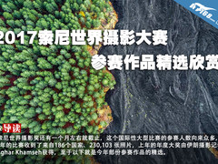 2017索尼世界摄影大赛参赛作品精选欣赏