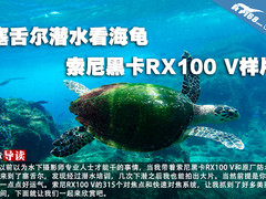 塞舌尔潜水看海龟 索尼黑卡RX100 V样片