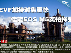 EVF加持对焦更快 佳能EOS M5实拍样张