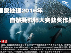 国家地理2016年自然摄影师大赛获奖作品