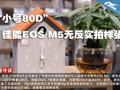 “小号80D” 佳能EOS M5无反实拍样张