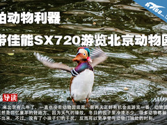 拍动物利器 带佳能SX720游览北京动物园