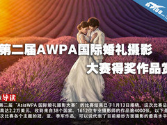第二届AWPA国际婚礼摄影大赛得奖作品赏