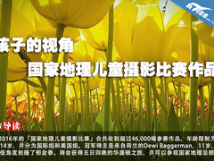 孩子的视角 国家地理儿童摄影比赛作品