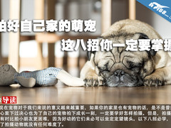 拍好自己家的萌宠 这八招你一定要掌握